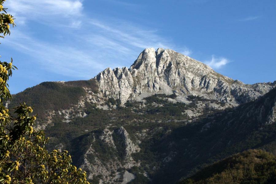 Borgo Delle Panie Bed and Breakfast Careggine Exteriör bild